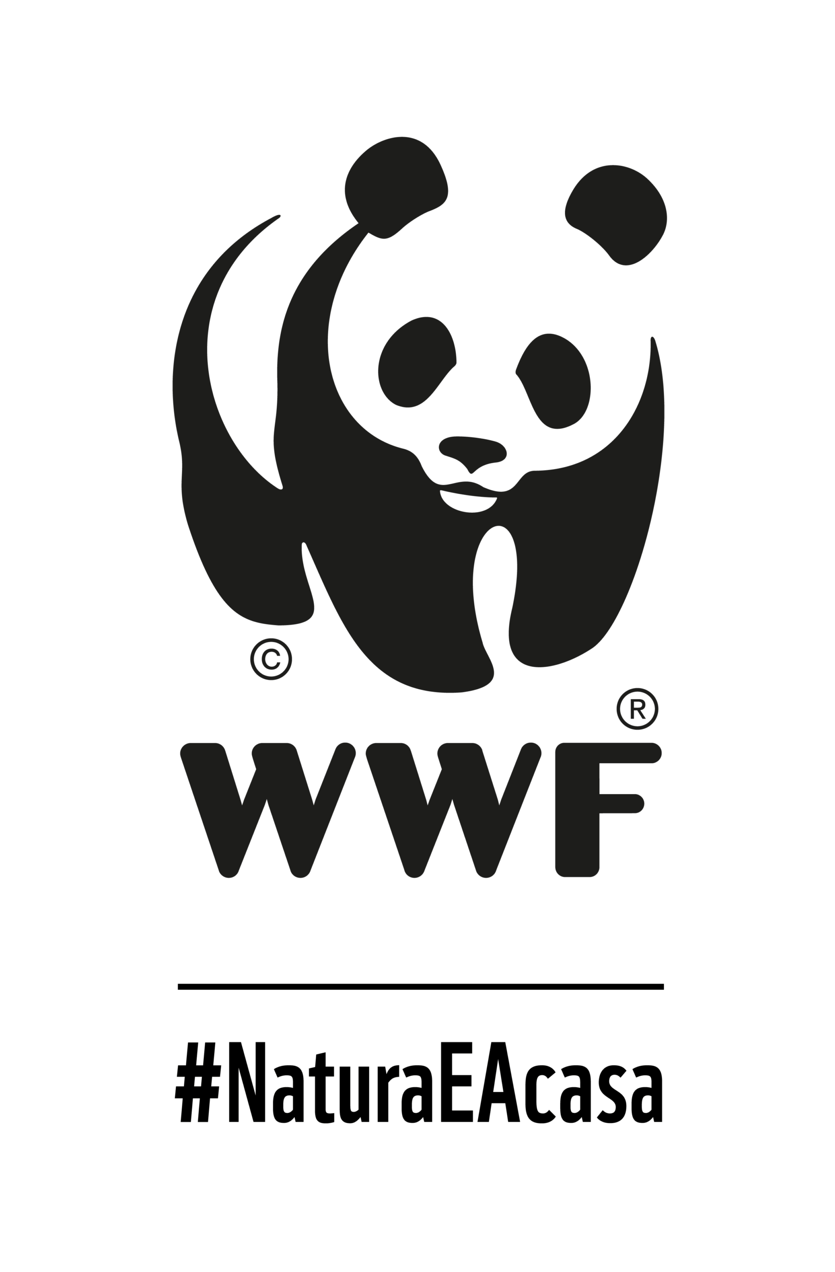 WWF-România Logo