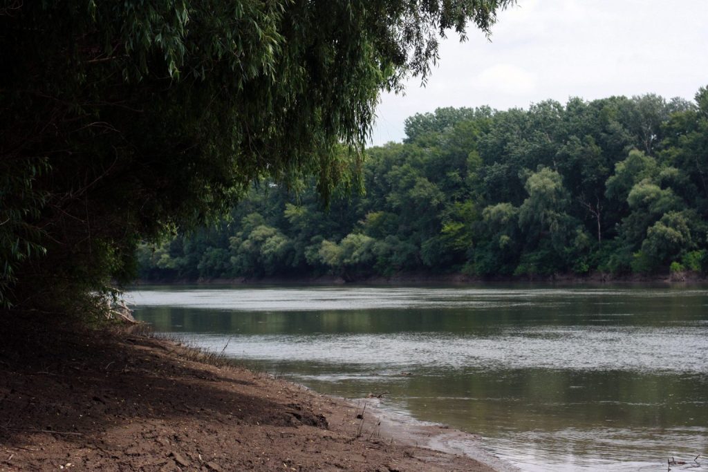 Luncile refăcute pot absorbi gaze cu efect de seră, arată o cercetare științifică